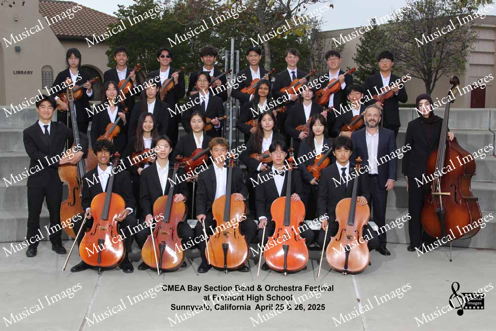 Musical Images